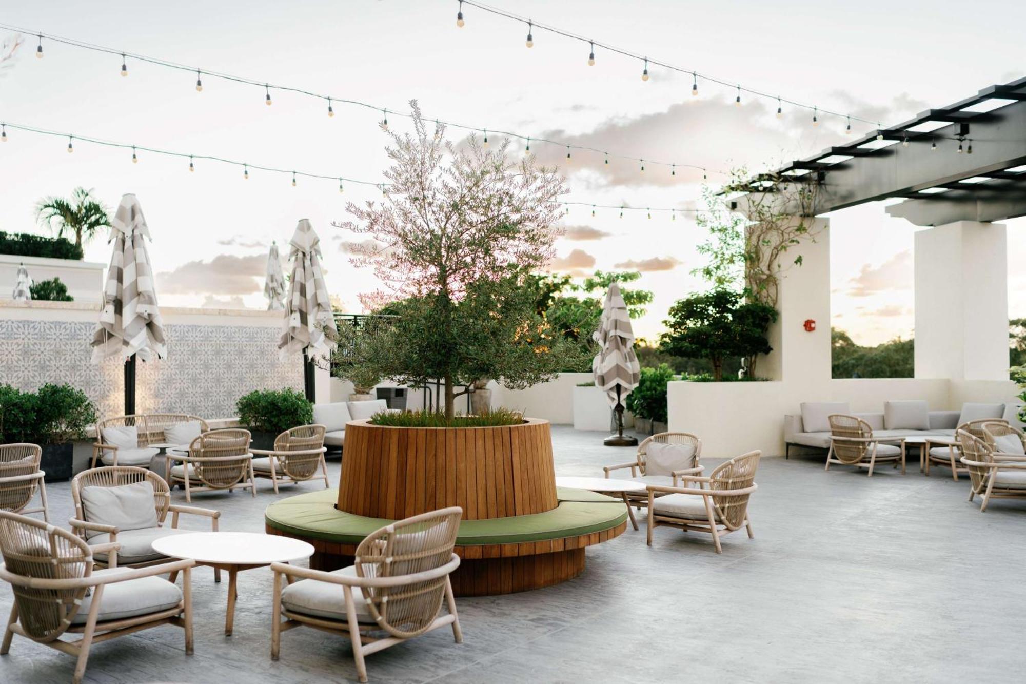 Thesis Hotel Miami Coral Gables, Curio Collection By Hilton Exterior foto